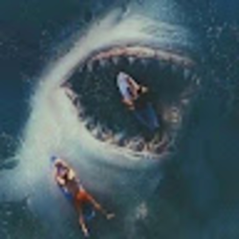 Meet your Posher, Animus